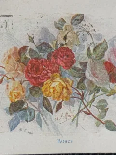 Carte Postala, Felicitare cu trandafiri, perioada interbelica