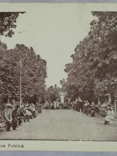 Carte postala, Focsani, Gradina Publica, 1917