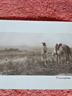 Carte postala, Frumoasa Moldova/Verona