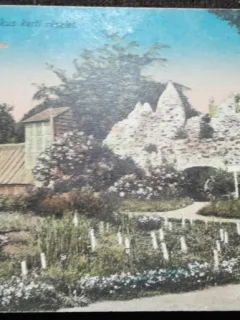 Carte postala, Gradina Botanica din Cluj, 1924