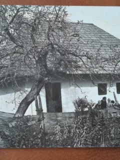 Carte postala, Humulesti, Casa Memoriala Ion Creanga, 1964