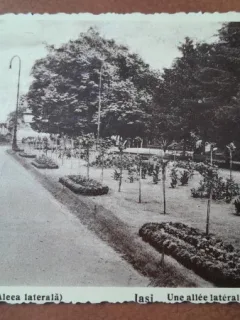 Carte postala, Iasi Gradina Copou, 1937