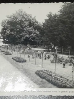 Carte postala, Iasi Gradina Copou, perioada interbelica