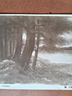Carte postala ilustrata, Freamat de Codru/Eminescu, 1924