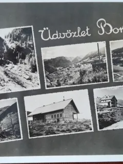Carte postala, imagini din Borsa, perioada interbelica