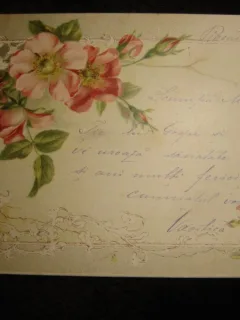 CARTE POSTALA INCEPUTUL SECOLULUI XX