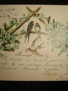 CARTE POSTALA INCEPUTUL SECOLULUI XX