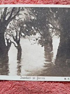 Carte postala, Inundatii pe Borcea/M.H. Georgescu