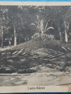 Carte Postala, Lacul Sarat, Parcul, 1936