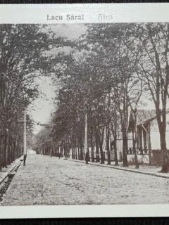 Carte postala, Lacul Sarat, perioada interbelica