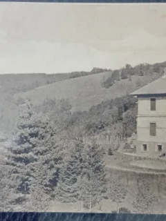 Carte postala, Moneasa, privire generala cu vile, perioada interbelica