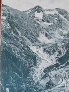 Carte postala, muntele Negoi, valea Sarati, 1917