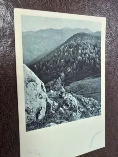 Carte Postala Muntele Postavaru (Schuler), 1927