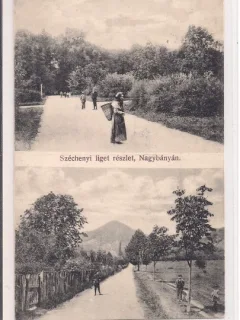 Carte postala necirculata din jurul anului 1900 Baia Mare