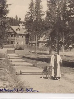Carte postala necirculata din jurul anului 1900 Paltinis