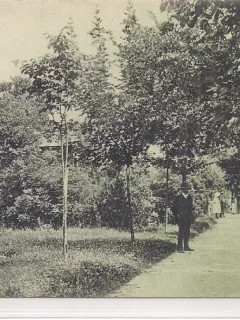 Carte postala necirculata din jurul anului 1900 Saliste
