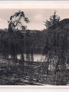 Carte postala necirculata din perioada interbelica Baile Tusnad
