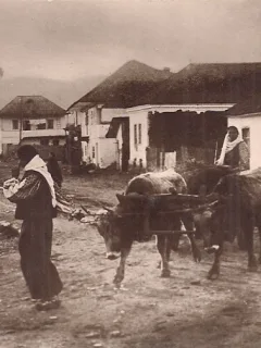 Carte postala necirculata din perioada interbelica