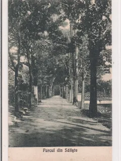 Carte postala necirculata din perioada interbelica