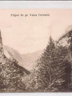 Carte postala necirculata din perioada interbelica Sinaia