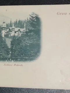 Carte postala, necirculata, Sinaia Castelul Peles, inceput de secol XX