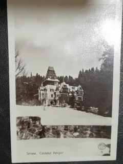 Carte postala, necirculata, Sinaia Castelul Pelisor, perioada interbelica