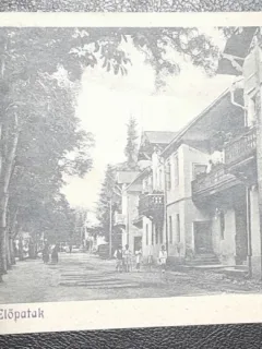 Carte postala, necirculata, Valcele Vila Szekely, inceput de secol XX