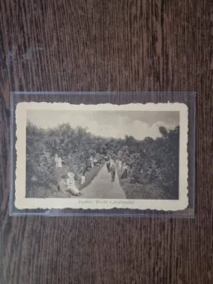 Carte Postala - Ocna Sibiului