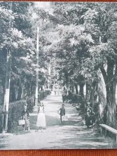 Carte postala, Ocnele Muresului, parcul bailor, 1916