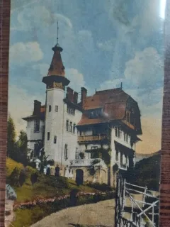 Carte postala - Baile Calimanesti: Vila Cantacuzino