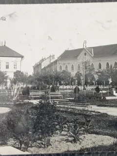 Carte postala, Parcul din Satu Mare, 1920