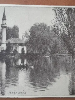 Carte postala, Parcul Libertatii, Moscheia, perioada interbelica