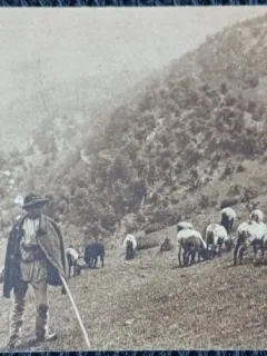 Carte postala, Pastor in Romania, perioada interbelica
