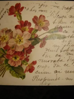 CARTE POSTALA INCEPUTUL SECOLULUI XX