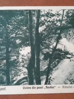 Carte postala. Petrosani vedere din Pasul Surduc, 1922