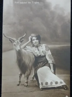 Carte Postala, Port National din Tulghes, 1920