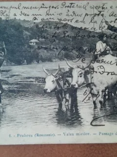 Carte postala, Prahova Valea Mieilor Pasajul Cricov, 1907