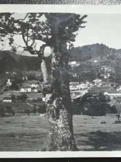 Carte postala, Predeal 1924