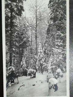 Carte postala, Predeal iarna, 1939