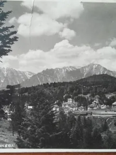 Carte postala, Predeal, vedere spre Bucegi, perioada interbelica