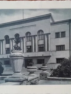 Carte postala Primaria Satu Mare, perioada interbelica