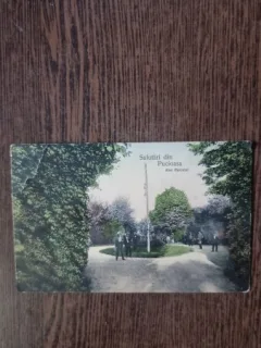 Carte Postala - Pucioasa. Alea Parcului