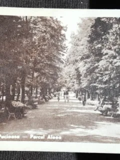 Carte postala, Pucioasa, Parcul Aleea, perioada interbelica