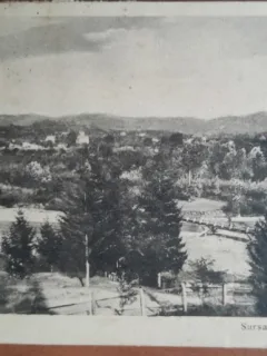 Carte postala, Pucioasa, Sursa si podul peste apa, 1931