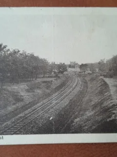 Carte postala, Ramnicu Sarat, Plantatii si Gara, inceput de secol XX