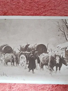 Carte postala, reproducere dupa tabloul Car cu boi in zapada/Th. Aman