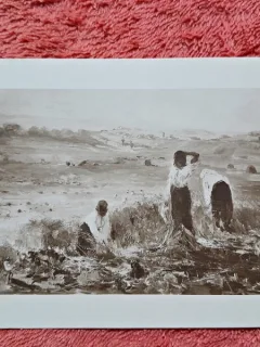 Carte postala, reproducere dupa tabloul La Secere/Verona