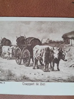 Carte postala, reproducere dupa tabloul Transport de buti/Th. Aman, perioada interbelica