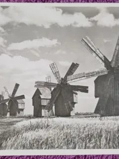 Carte postala, Romania, Basarabia, camp cu mori de vant, perioada interbelica