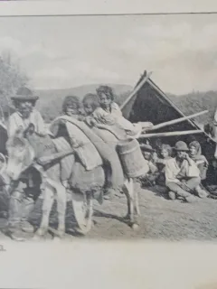 Carte postala, Romania, Tabara de Romi, inceput de secol XX